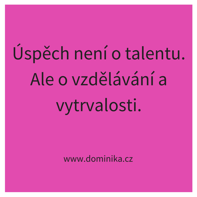 Uspech_neni_o_talentu